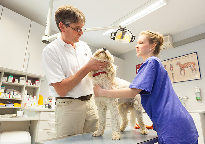 Tierarzt Dr. Ostermann in Dortmund-Hörde